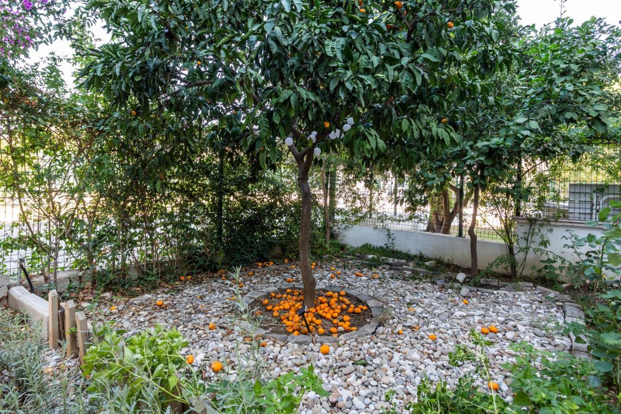 Villa Belinda Belek Dış mekan fotoğraf