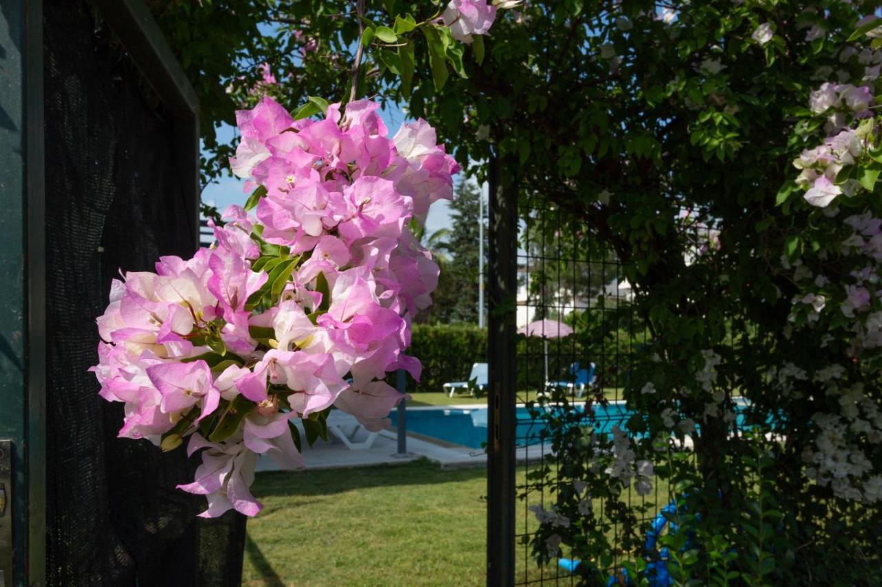 Villa Belinda Belek Dış mekan fotoğraf